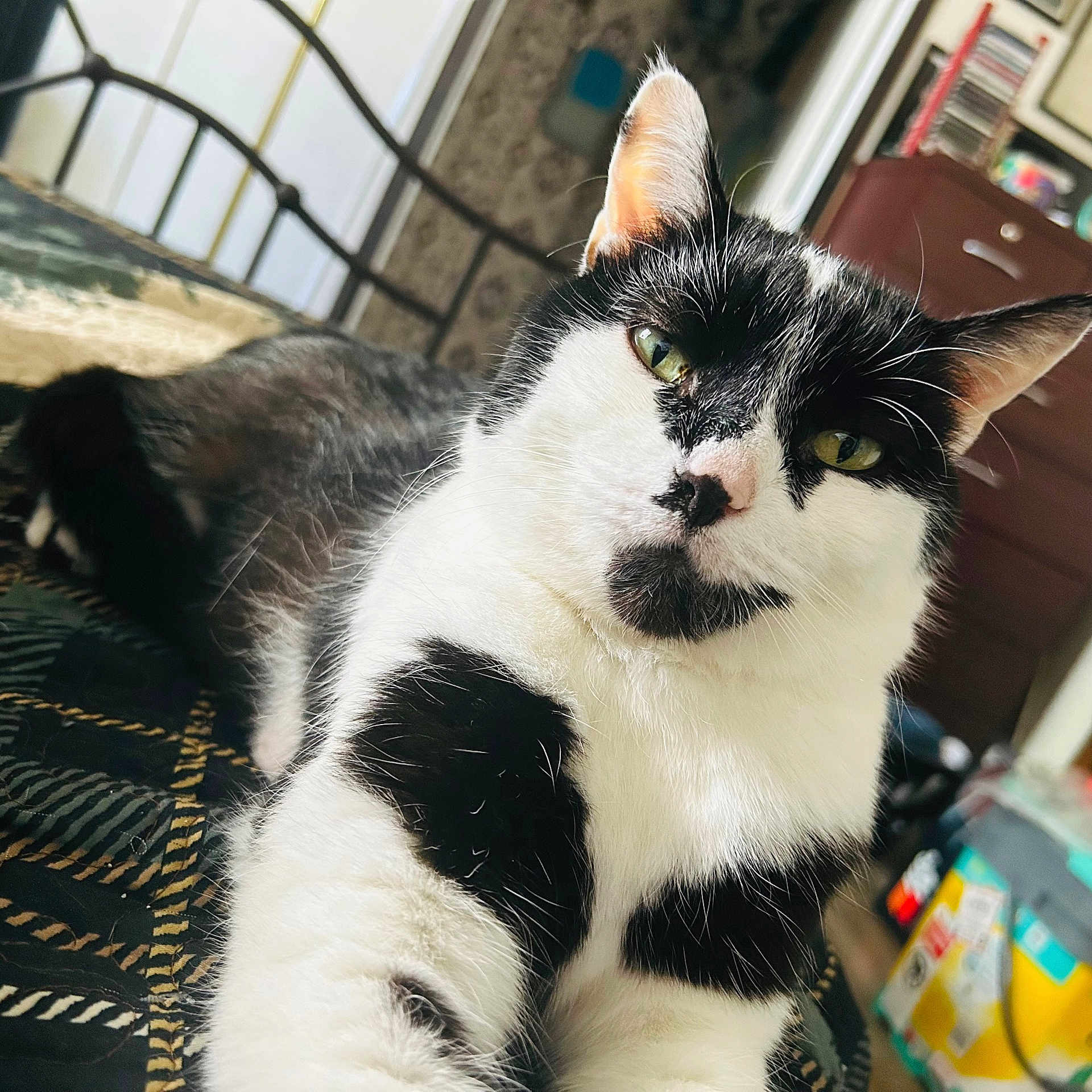 Macy