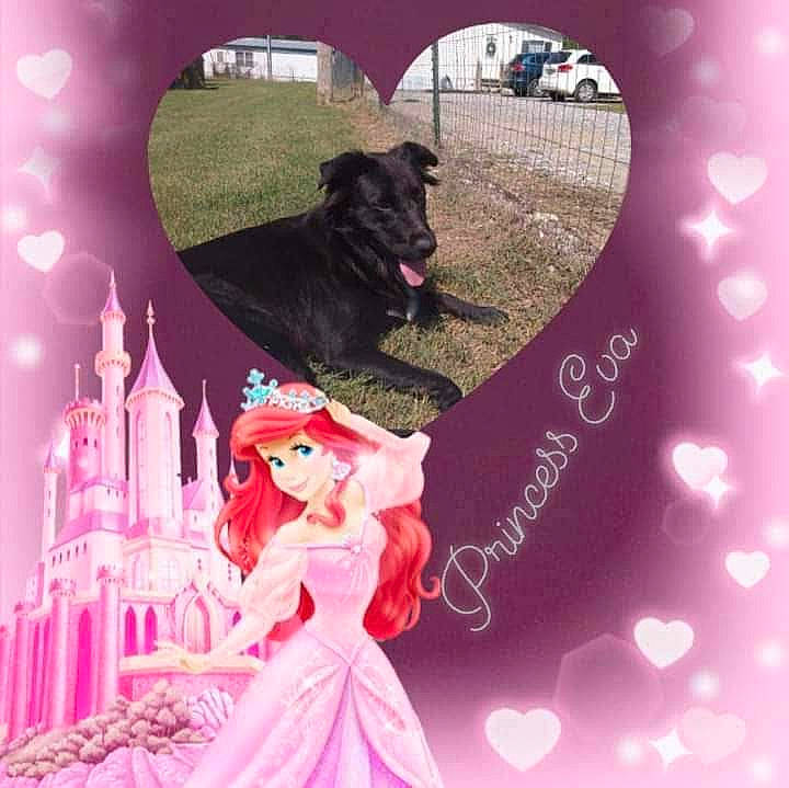 Eva Louise Lacefield