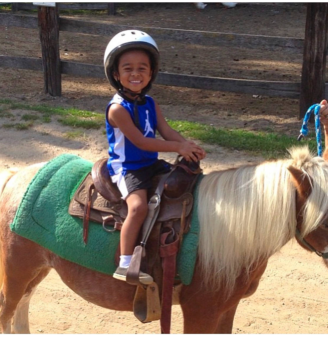 Larrion is registered to the contest to win money with this photo: animal_sports, bridle, equestrianism, halter, headwear, horse, horse_supplies, horse_tack, joy, landscape, mammal, mane, mare, pack_animal, person, recreation, rein, riding_instructor, saddle, stallion