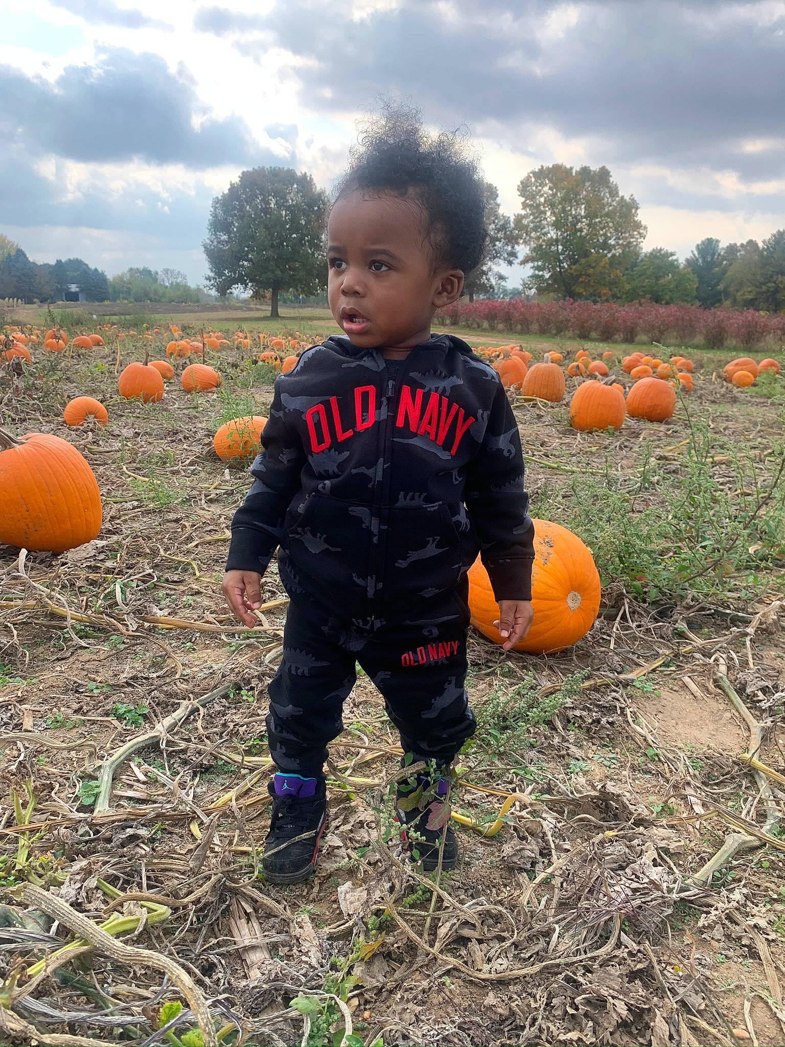 Ziyon joined the competition — help win amazing prizes! _and_melon_family, _gourd, adaptation, calabaza, child, cucumber, cucurbita, farm, fruit, gourd, person, plant, pumpkin, squash, toddler, vegetable, winter_squash