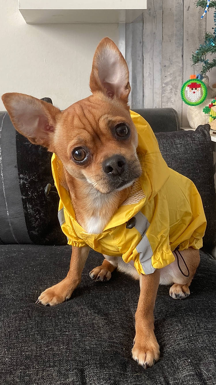 Caramel