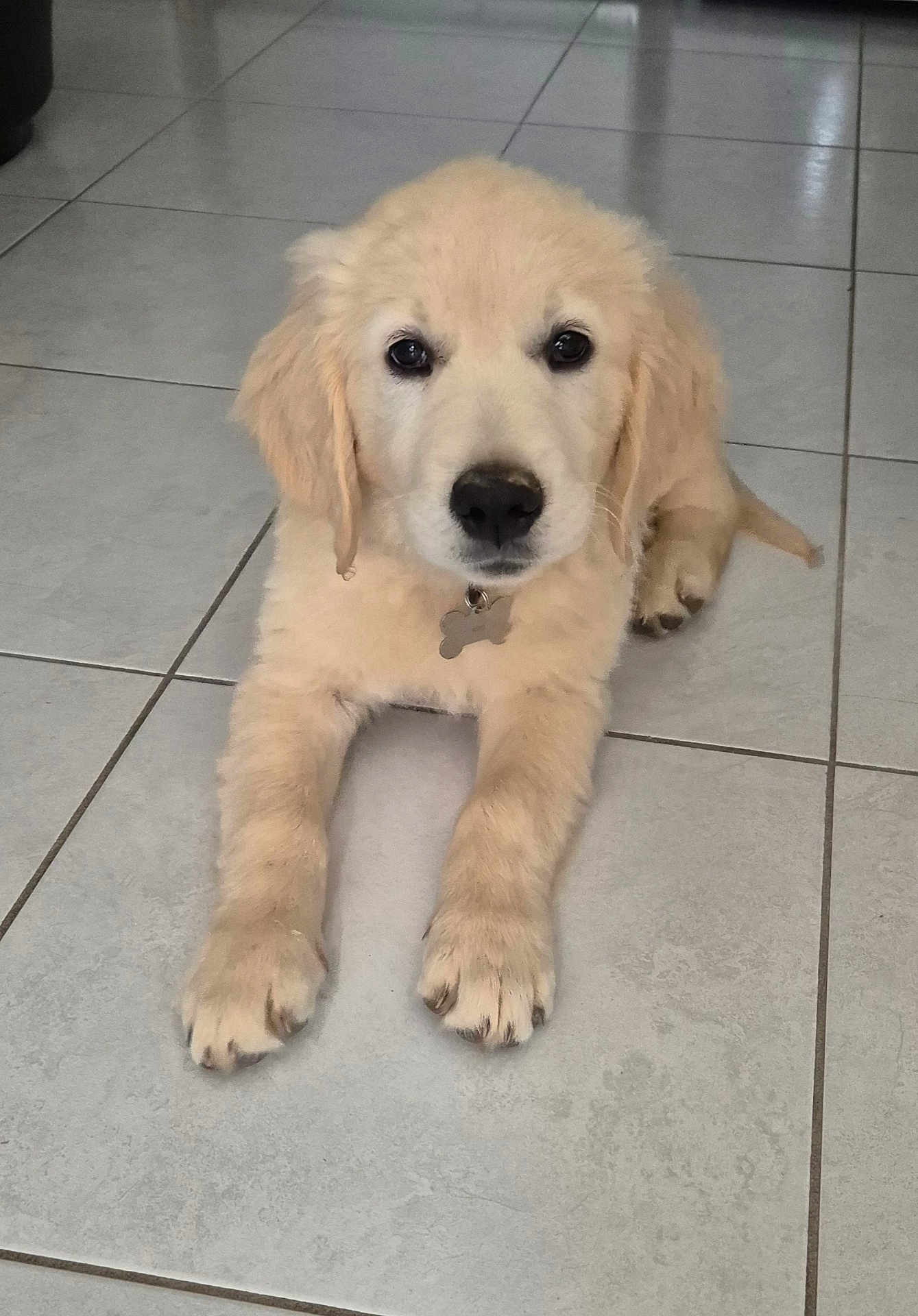 Asko