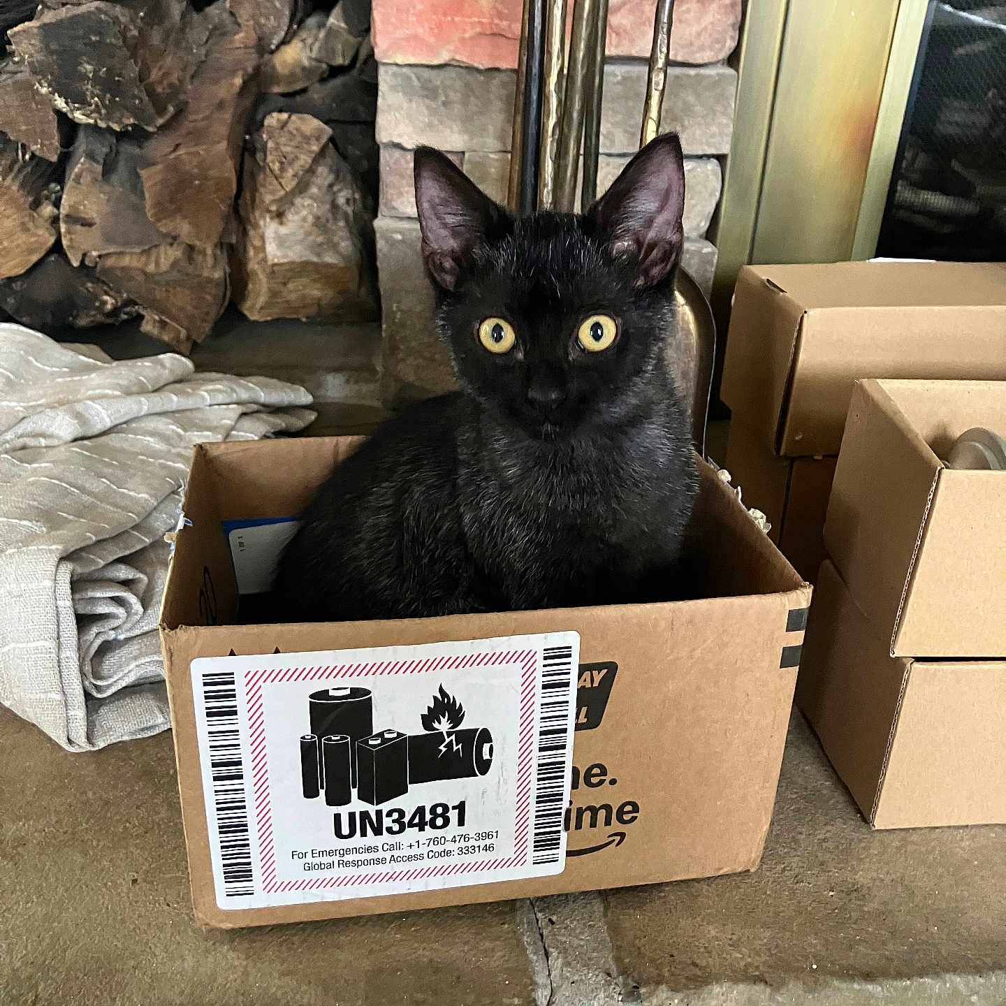 Taco is registered to the contest to win money with this photo: black_cat, kitten, cardboard_box, fireplace, stacked_boxes, curious, yellow_eyes, indoor, pet, feline, cozy, wood_logs, home_interior, animal, sitting, alert, fur, domestic_cat, box, cute