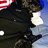 dog, black_dog, pet, knit_sweater, bed, pillow, indoor, cute, animal, resting, fur, canine, cozy, laying_down, looking_away, domestic_animal, soft_lighting, furniture, companion, warm_clothing