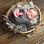 baby, newborn, sleeping, swaddle, bow, wooden, wool, fur, headband, peaceful, infant, cute, cozy, indoor, portrait, tiny, wrapped, foot, hand, soft