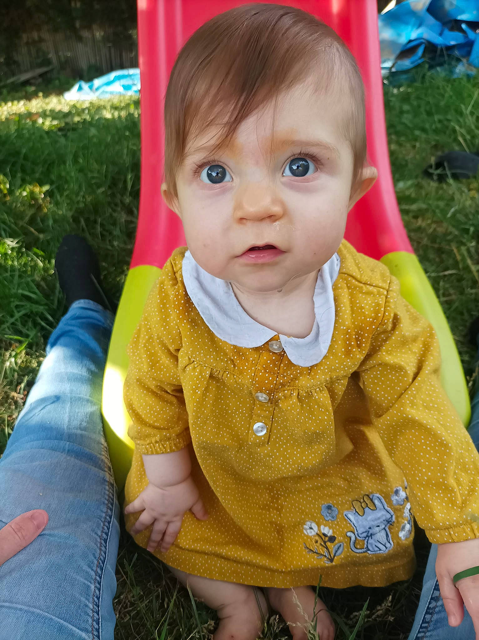 Amalia participe au concours pour gagner de l'argent avec cette photo : baby, baby_toddler_clothing, blond, blue, cheek, child, cool, fashion_accessory, fun, grass, happy, iris, leisure, people_in_nature, person, plant, sitting, skin, sleeve, t_shirt
