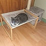 cat, tuxedo_cat, pet, indoor, wooden_floor, cat_bed, hammock, scratching_post, cat_condo, furniture, flooring, cozy, animal, feline, resting, looking, home, cute, domestic, comfortable