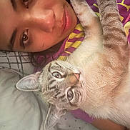 Nala is registered to the contest to win money with this photo: person, cat, face, closeup, bed, pillow, blanket, indoor, resting, snuggling, pet, animal, cute, fur, portrait, casual, relaxed, brown_eyes, striped_cat, comfort