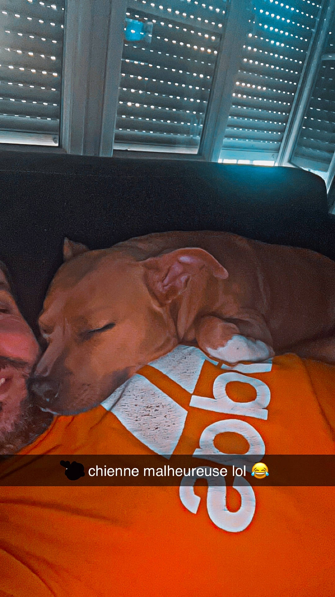 Tayah a rejoint le concours — aidez-le/la à gagner de superbes lots ! adidas_logo, blinds, casual, couch, cozy, dog, face, human, indoor, laughing_emoji, nap, orange_clothing, person, pet, relaxing, resting, sleeping, smiling, text_overlay, window