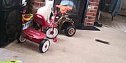 Trouble Reynolds joined the competition — help win amazing prizes! animal, brick_wall, carpet, cat, chair, dog, fireplace, floor, furniture, household, indoor, living_room, pet, relaxing, screen, television, toy, tricycle, watching, window