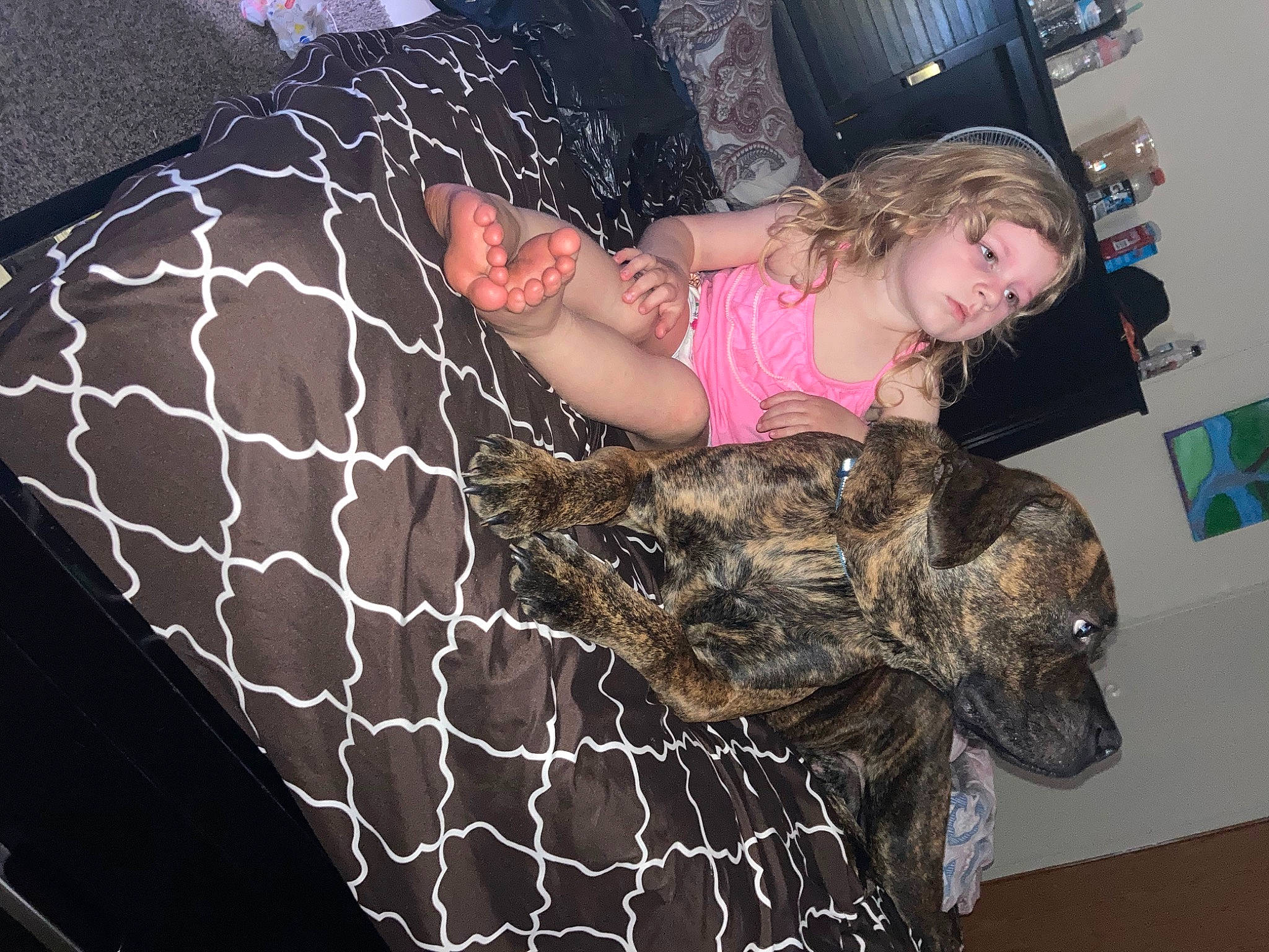 Lillyana is registered to the contest to win money with this photo: baby_toddler_clothing, black, comfort, dog_breed, flooring, fun, fur, human_leg, linens, mesh, metal, net, organ, pattern, person, room, sporting_group, textile, thigh, toddler