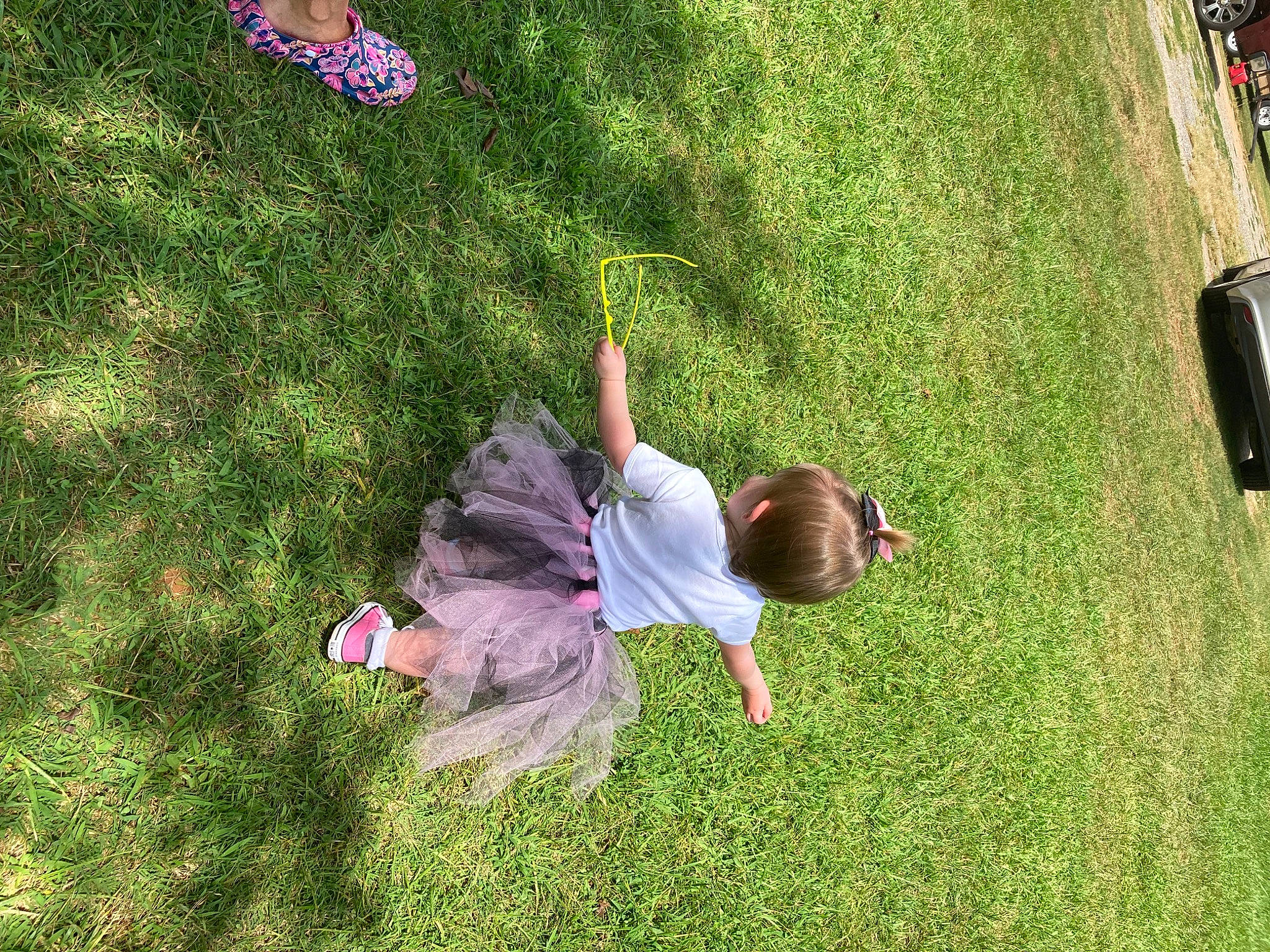 Paisley is registered to the contest to win money with this photo: baby, barefoot, flooring, fun, garden, grass, grass_family, grassland, groundcover, happy, landscape, lawn, leaf, leisure, meadow, people_in_nature, person, plant, recreation, toddler