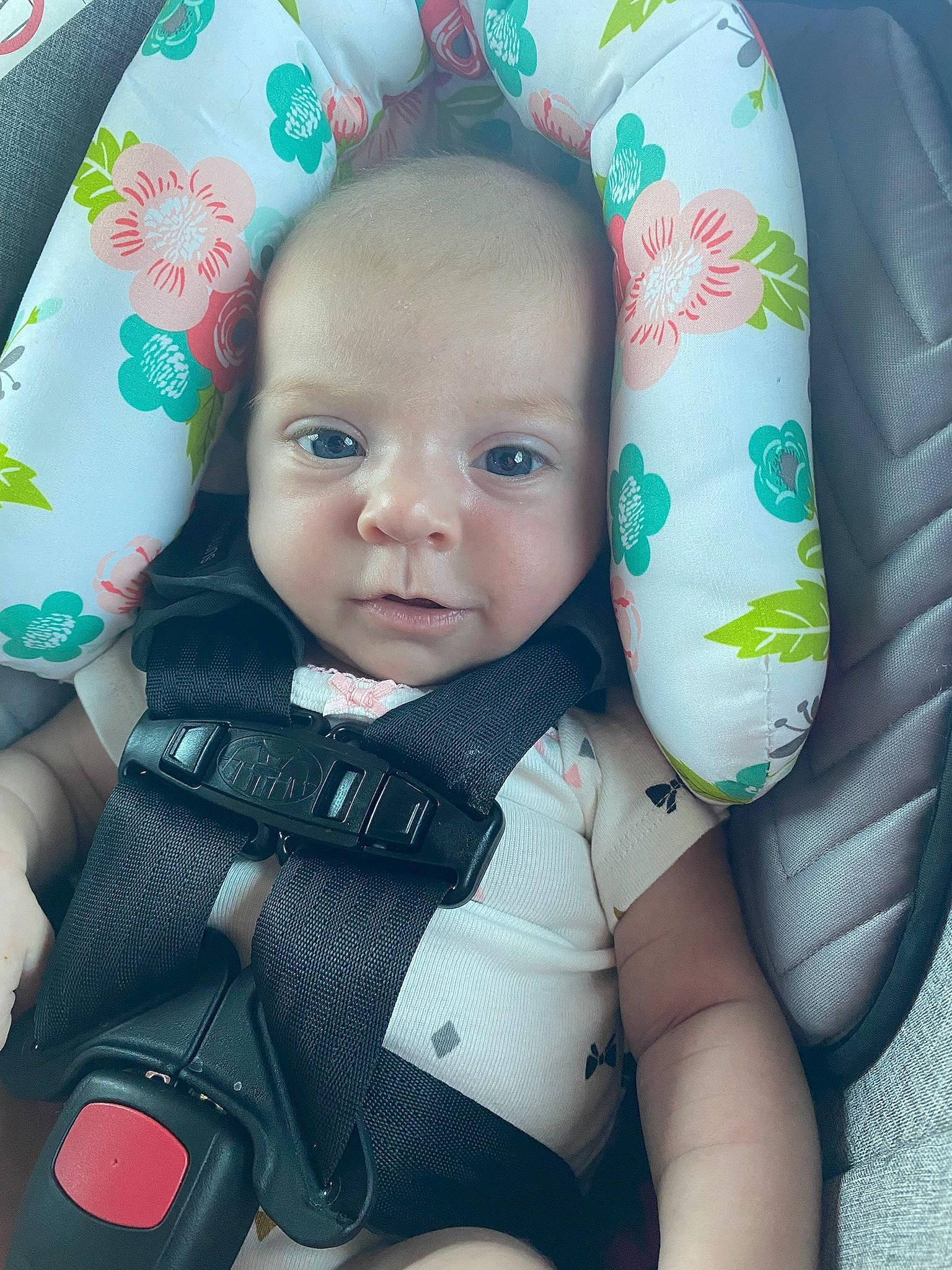 Brynn is registered to the contest to win money with this photo: baby, baby_carriage, baby_products, baby_safety, baby_toddler_clothing, cheek, child, comfort, face, facial_expression, happy, head, iris, linens, pattern, person, sitting, skin, sleeve, textile