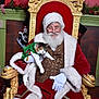 santa_claus, cat, christmas, holiday, throne, festive, costume, beard, glasses, red_clothing, white_fur, ornate, decorations, stockings, green_outfit, indoor, smile, holiday_season, festivity, celebration