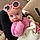 Lottie