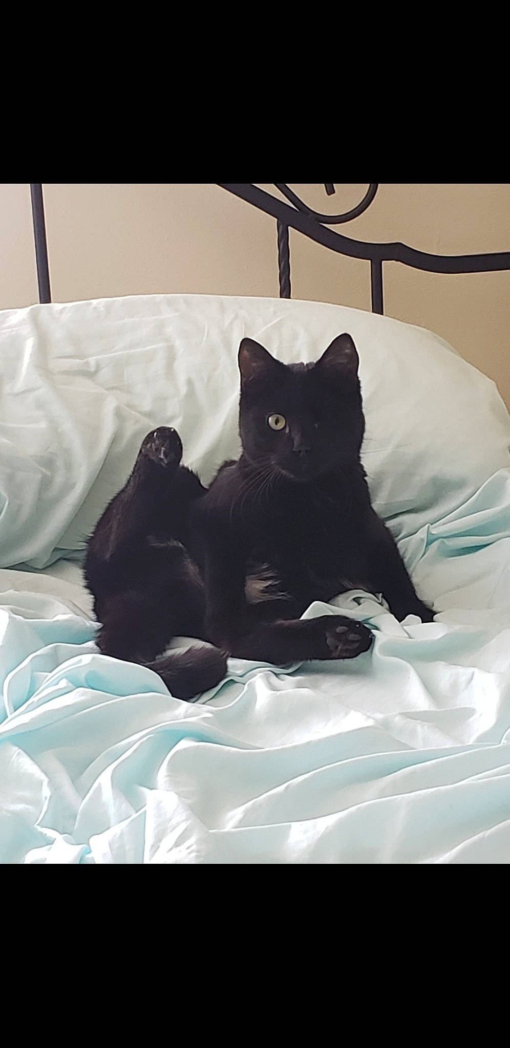 Sammy
