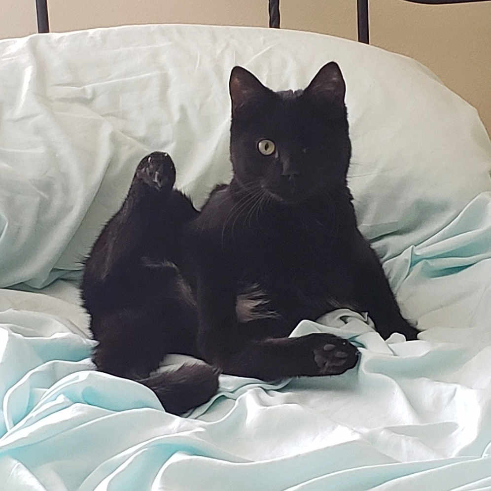 Sammy