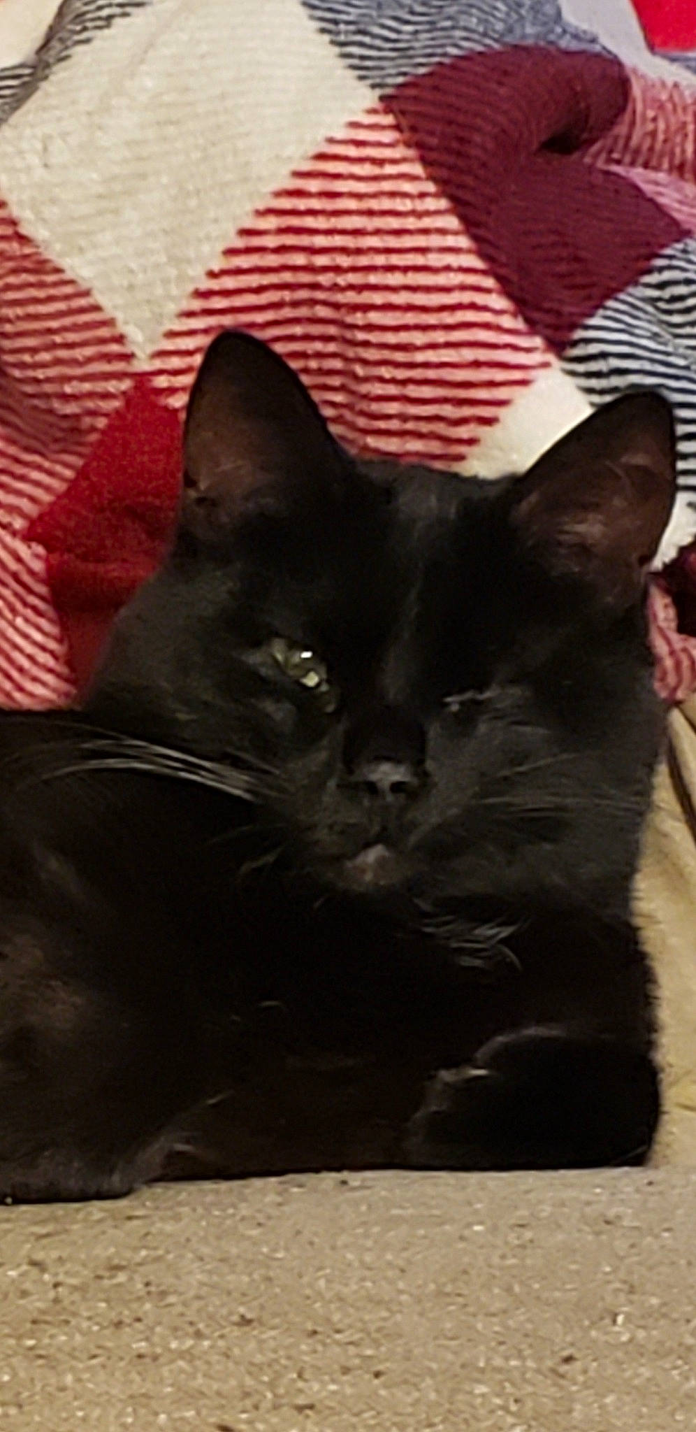 Sammy