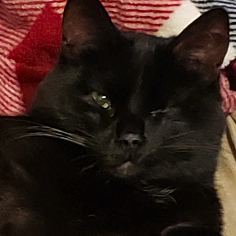 Sammy
