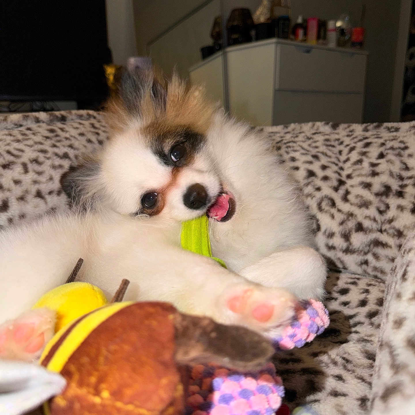 Baby