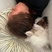Baby joined the competition — help win amazing prizes! person, puppy, dog, sleeping, nap, cuddle, cozy, pillow, white, brown, fur, hair, face, rest, cute, indoor, relaxation, soft, companion, friendship