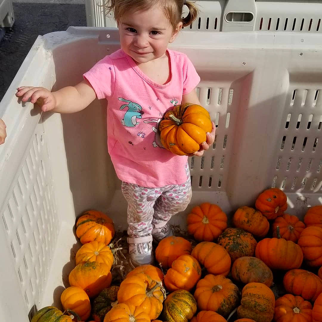 Monica joined the competition — help win amazing prizes! baby_toddler_clothing, calabaza, cucurbita, food, gourd, joy, local_food, natural_foods, orange, person, plant, produce, pumpkin, shorts, smile, squash, superfood, t_shirt, toddler, vegetable