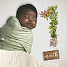 baby, sleeping, swaddled, blanket, green_blanket, knitted_blanket, succulents, plants, number_one, wooden_plaque, month_sign, white_background, baby_face, peaceful, infant, portrait, cozy, newborn, soft_texture, milestone