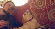 Poohbear is registered to the contest to win money with this photo: beard, blanket, brown_dog, casual, couch, cozy, dog, furniture, home, indoor, living_room, looking_up, man, patterned, pet, pillow, plaid, plush, relaxing, seated