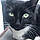 Binx