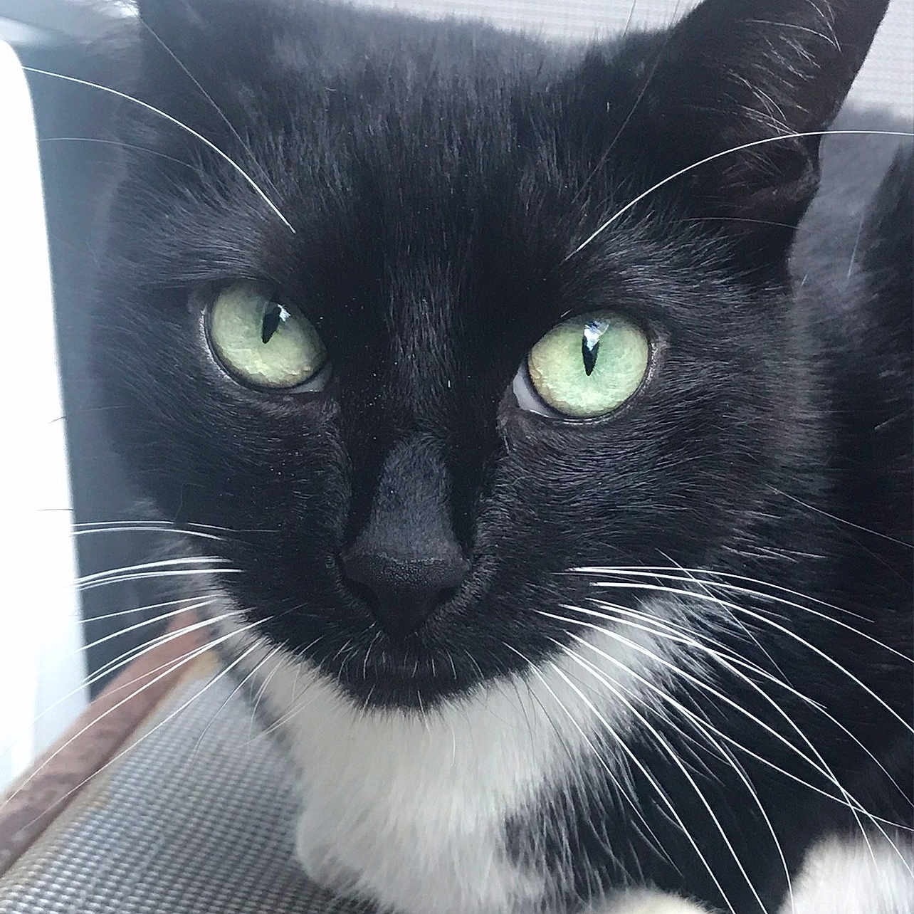 Binx
