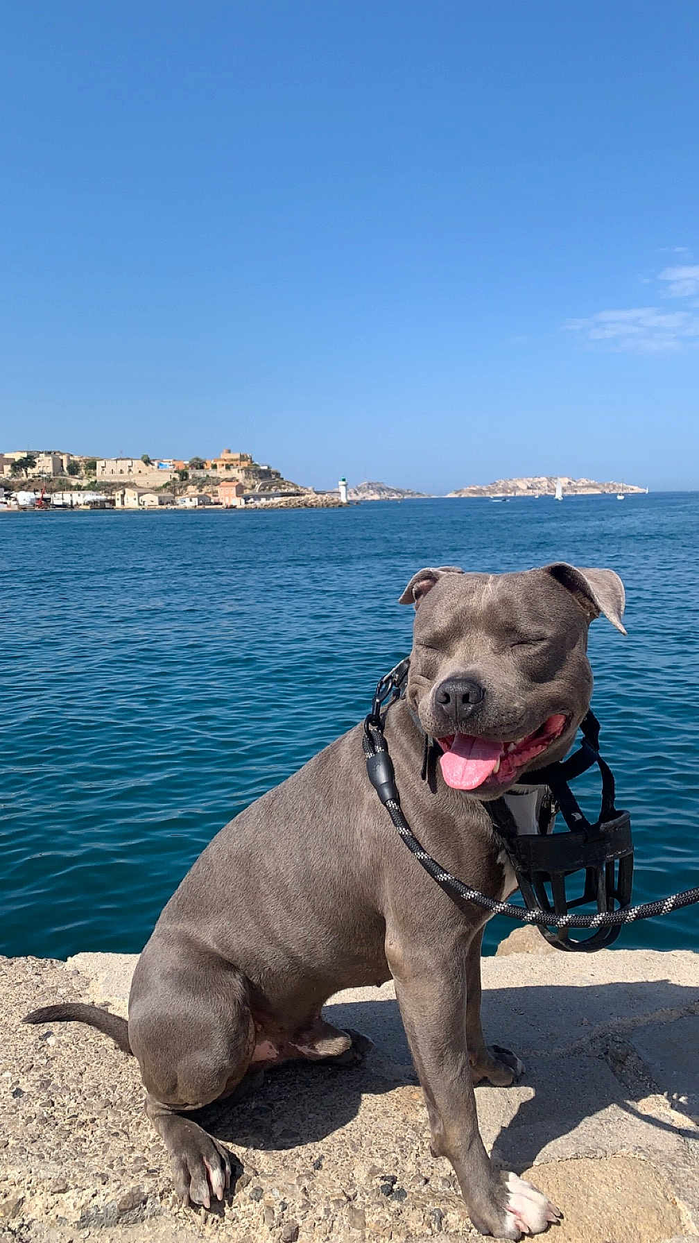 Rayko