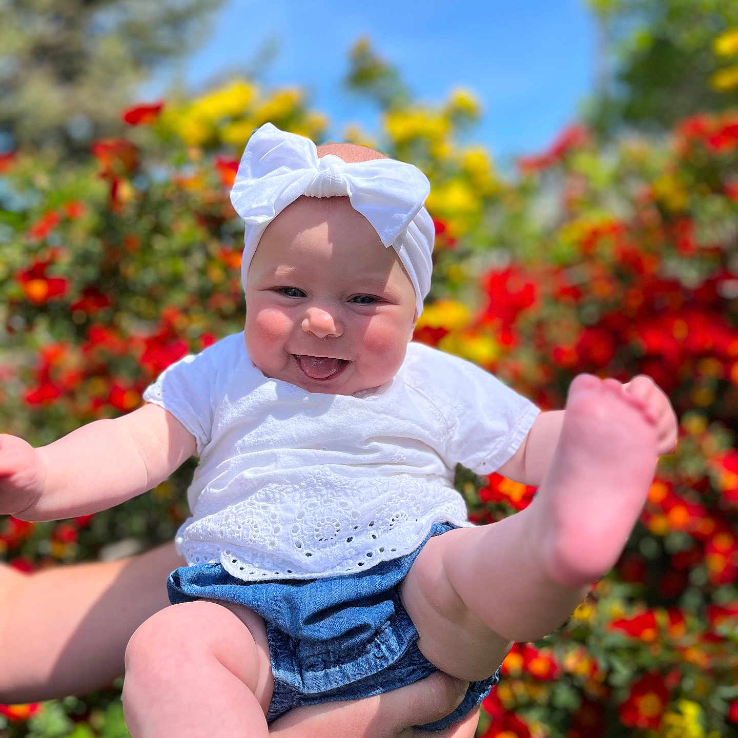 Juliet joined the competition — help win amazing prizes! baby, cap, clothing, face, flower, grass, happy, hat, head, outdoors, pants, person, petal, photography, plant, portrait, pottedplant, shorts, smile, summer