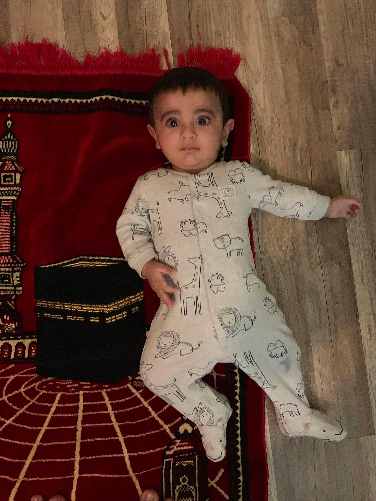 Wali is registered to the contest to win money with this photo: child, child_model, person, sleeve, toddler