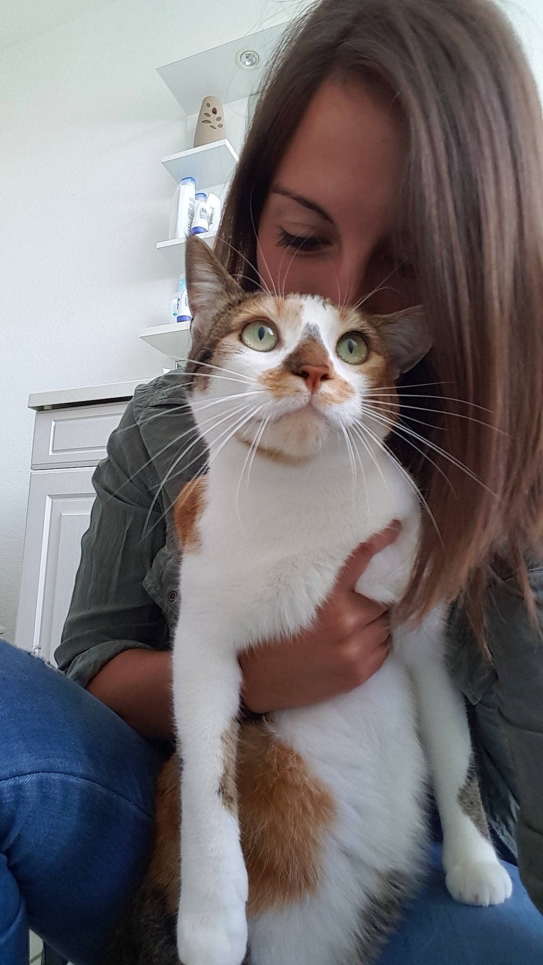 Naboo a rejoint le concours — aidez-le/la à gagner de superbes lots ! aegean_cat, american_wirehair, asian, carnivore, cat, domestic_short_haired_cat, european_shorthair, fawn, felidae, fur, kitten, long_hair, nose, polydactyl_cat, small_to_medium_sized_cats, turkish_van, whiskers