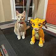 Chubi joined the competition — help win amazing prizes! cat, lego, lion_cub, treadmill, indoor, window, curtains, toy, pet, animal, furniture, exercise_equipment, orange, beige, collar, floor, playful, cute, sitting, domestic