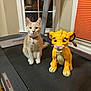cat, lego, lion_cub, treadmill, indoor, window, curtains, toy, pet, animal, furniture, exercise_equipment, orange, beige, collar, floor, playful, cute, sitting, domestic