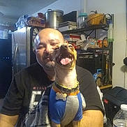 Chico joined the competition — help win amazing prizes! man, dog, smiling, happy, indoor, kitchen, table, water_bottle, sitting, clothing, blanket, refrigerator, shelf, container, plastic_bag, pot, collar, tag, tongue, facial_hair