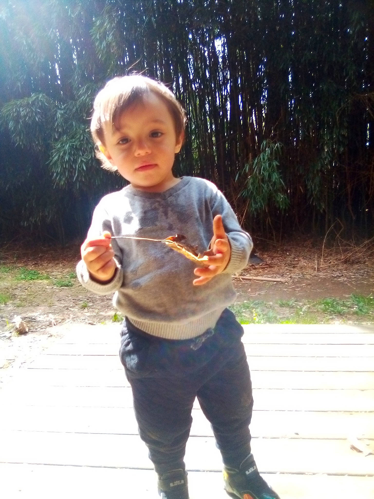 Kieran is registered to the contest to win money with this photo: child, fun, person, play, smile, standing, toddler, tree, vacation