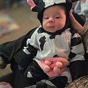 Izabella is registered to the contest to win money with this photo: baby, child, costume, cow, animal_outfit, pink, black_and_white, cute, infant, portrait, soft_toys, clothing, indoors, sitting, face, person, funny_costume, warm, hand, blurred_background