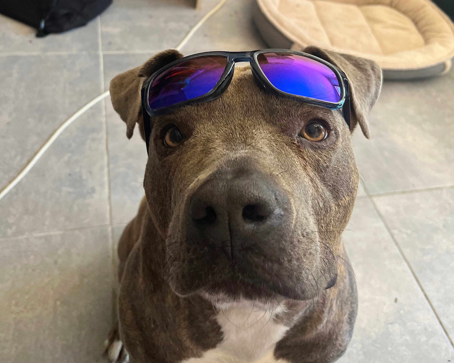 Sam