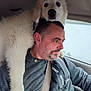 dog, man, car, seatbelt, window, white_dog, fluffy, pet, driving, shoulder, companion, casual_clothing, adult, indoors, side_view, beard, short_hair, seat, friendship, animal