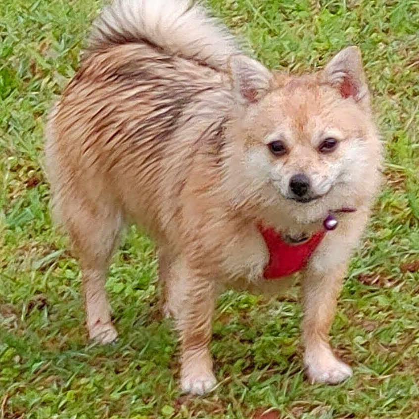 Lucy