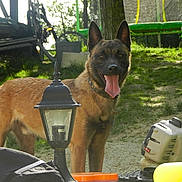 Tempete a rejoint le concours — aidez-le/la à gagner de superbes lots !