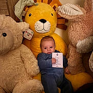 Jules a rejoint le concours — aidez-le/la à gagner de superbes lots ! baby, infant, milestone_card, three_months, plush_toy, stuffed_animal, lion_toy, teddy_bear, bunny, onesie, cozy, nursery, soft_toys, cuddly, portrait, sitting, cheeks, hand, indoor, warm_lighting