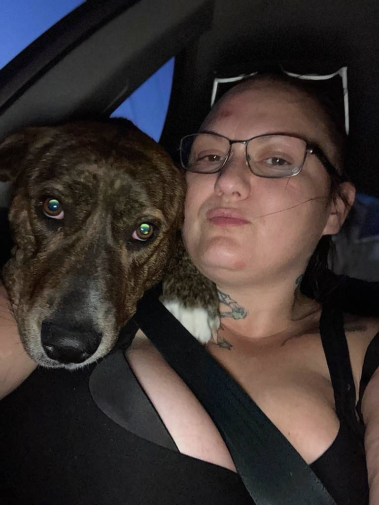 Whiskey joined the competition — help win amazing prizes! carnivore, companion_dog, cool, dog, dog_breed, ear, event, eyewear, fashion_accessory, fawn, flash_photography, fun, glasses, jaw, selfie, snout, throat, vision_care, whiskers, working_animal