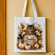 Buddy is registered to the contest to win money with this photo: autumn, bag, bench, blanket, cat, fall, flowers, foliage, hanging, home_decor, interior, lantern, printed_design, pumpkins, rustic, still_life, tabby_cat, tote_bag, wall, wood
