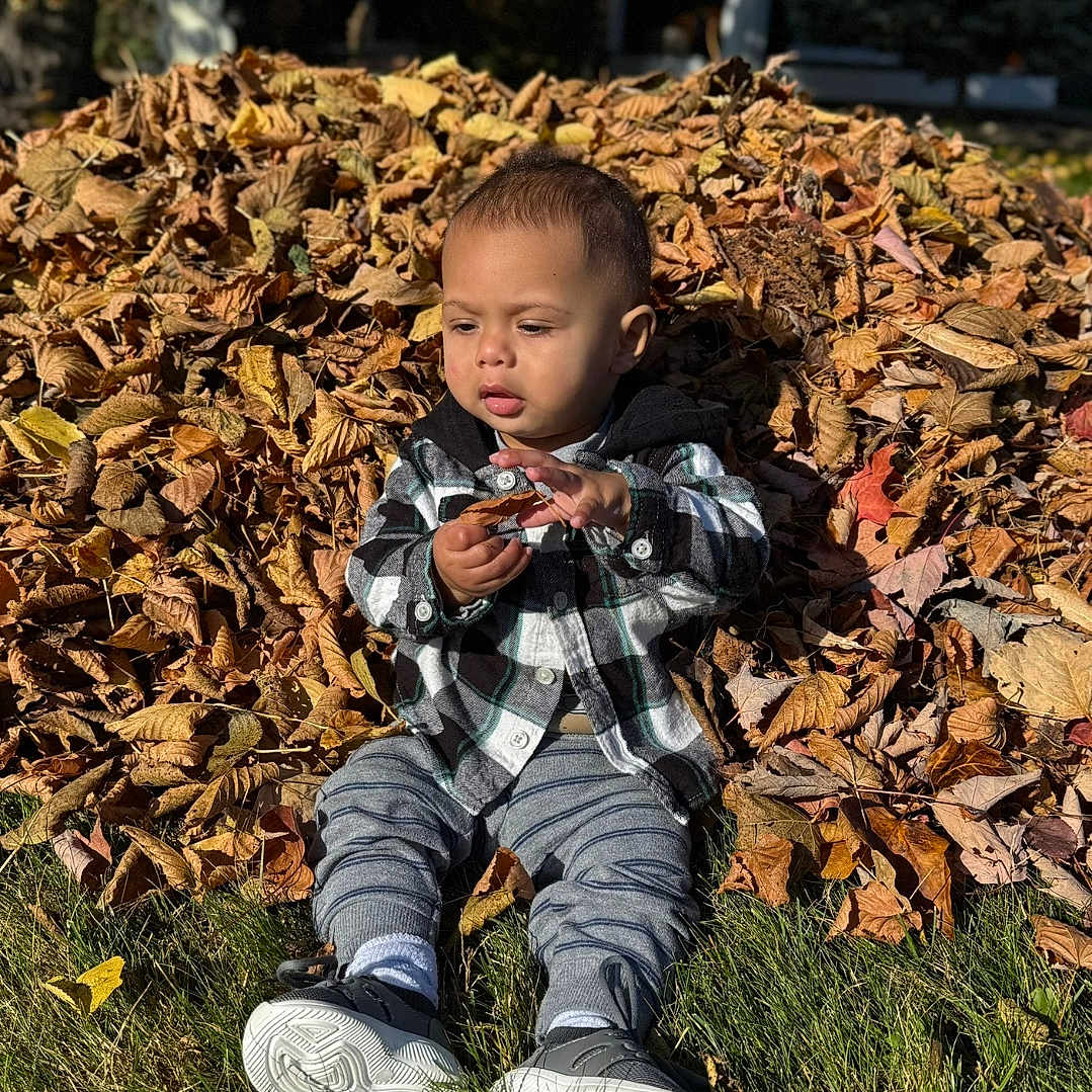 Elijah joined the competition — help win amazing prizes! backyard, boy, child, clothing, coat, face, footwear, grass, head, jacket, jeans, leaf, male, pants, person, photography, plant, portrait, shoe, sitting
