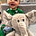 Arlo