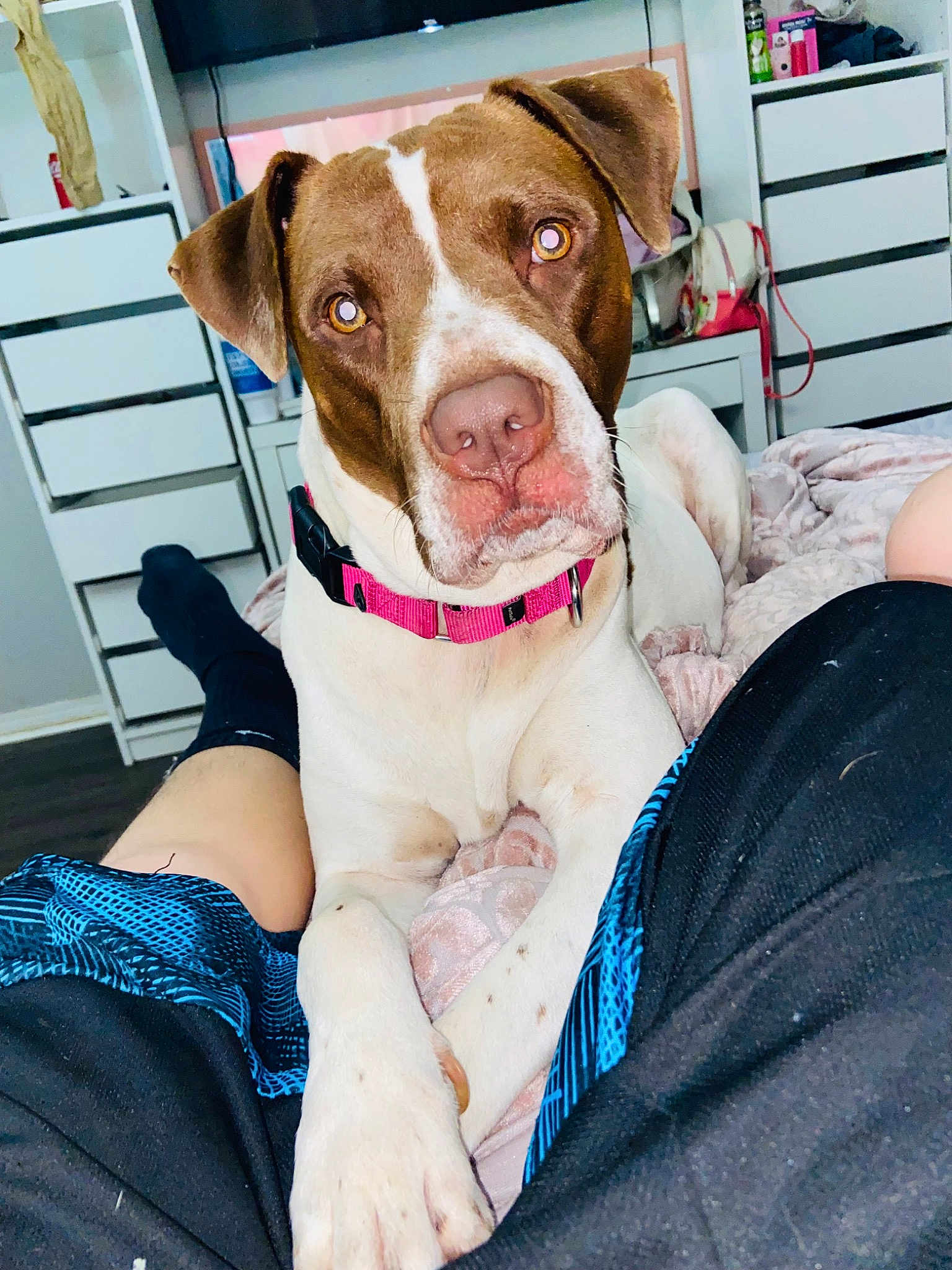 Willow
