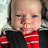 baby, infant, face, blue_eyes, car_seat, seatbelt, clothing, red_stripes, close_up, child, person, cute, expression, indoor, pout, newborn, skin, head, sitting, comfort